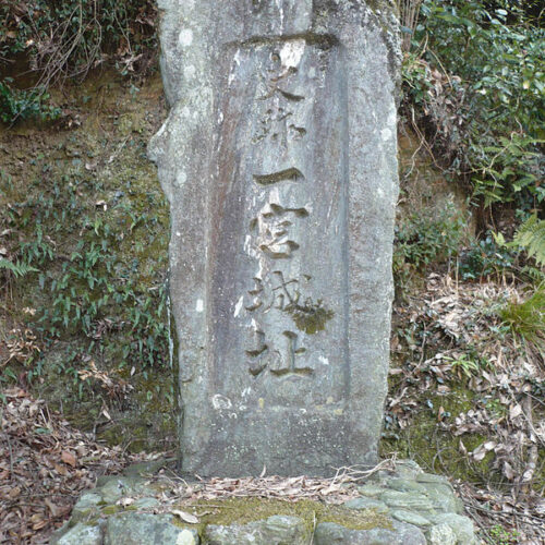 一宮城 (阿波国)