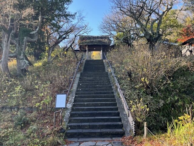 縁切り寺 駆け込み寺として知られる鎌倉 東慶寺では写経や挿し花など様々な体験ができる