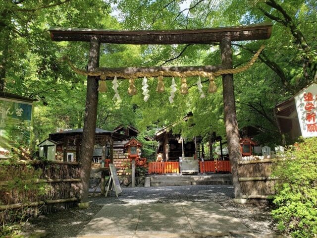 京都・嵐山の人気スポット「野宮神社」は源氏物語にも登場する縁結び・安産の神社 – 日本のお城、御城印と、お寺、神社の歴史ガイド